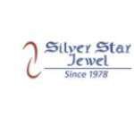 Silver Star Jewel